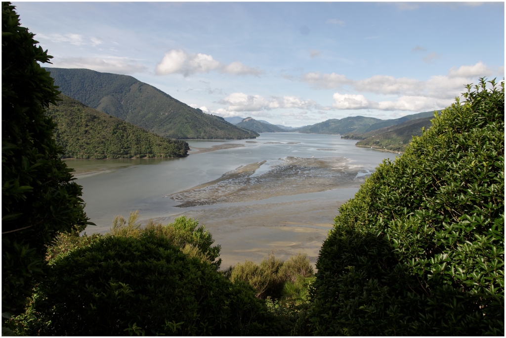 12 - Queen Charlotte  (08).jpg